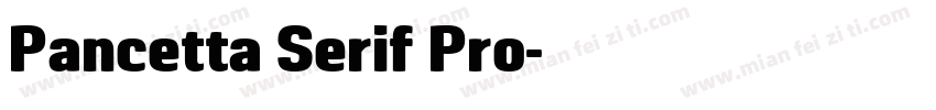 Pancetta Serif Pro字体转换